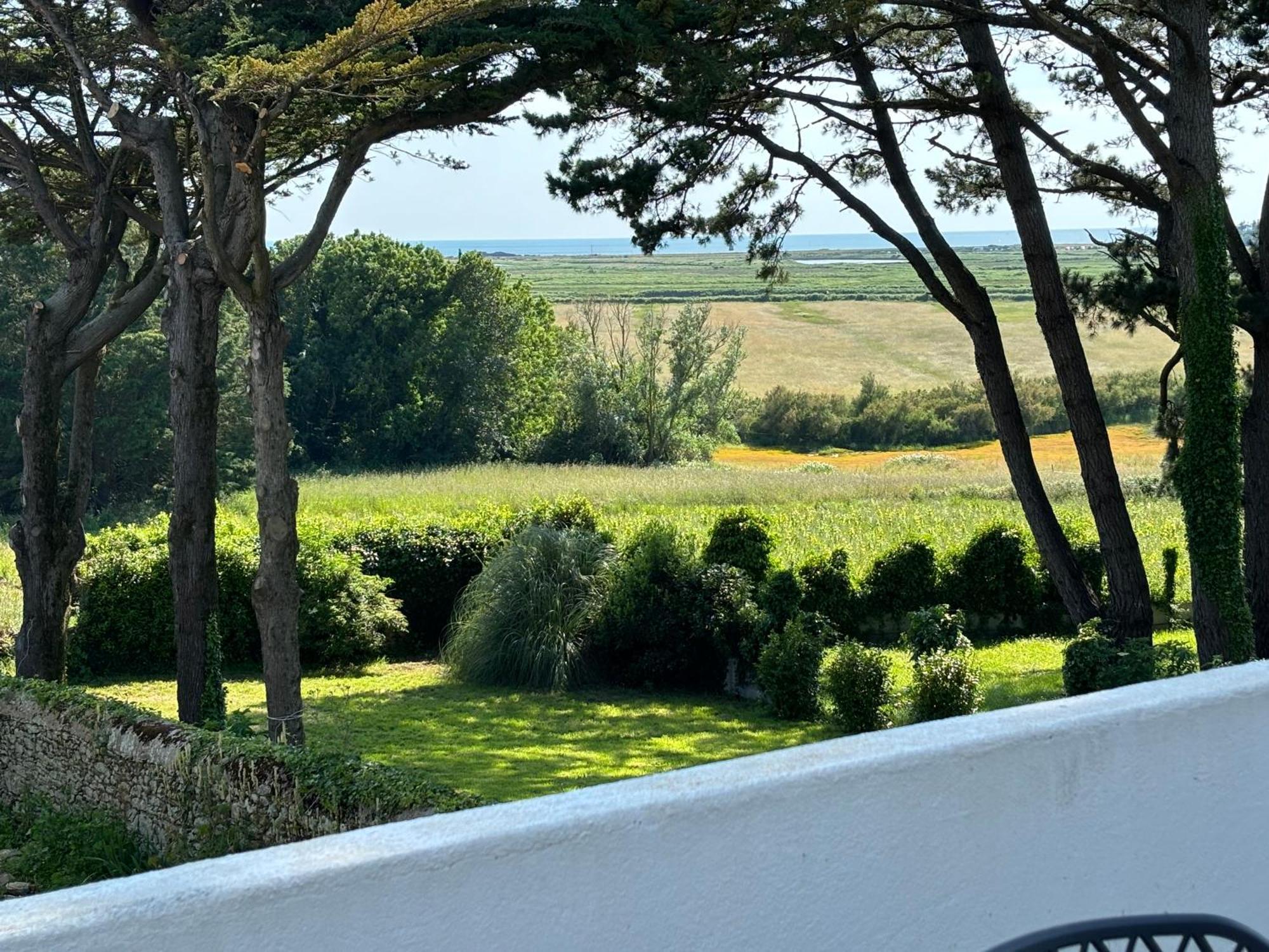 Villa Vieilles Vignes Vue Mer ビリエ エクステリア 写真