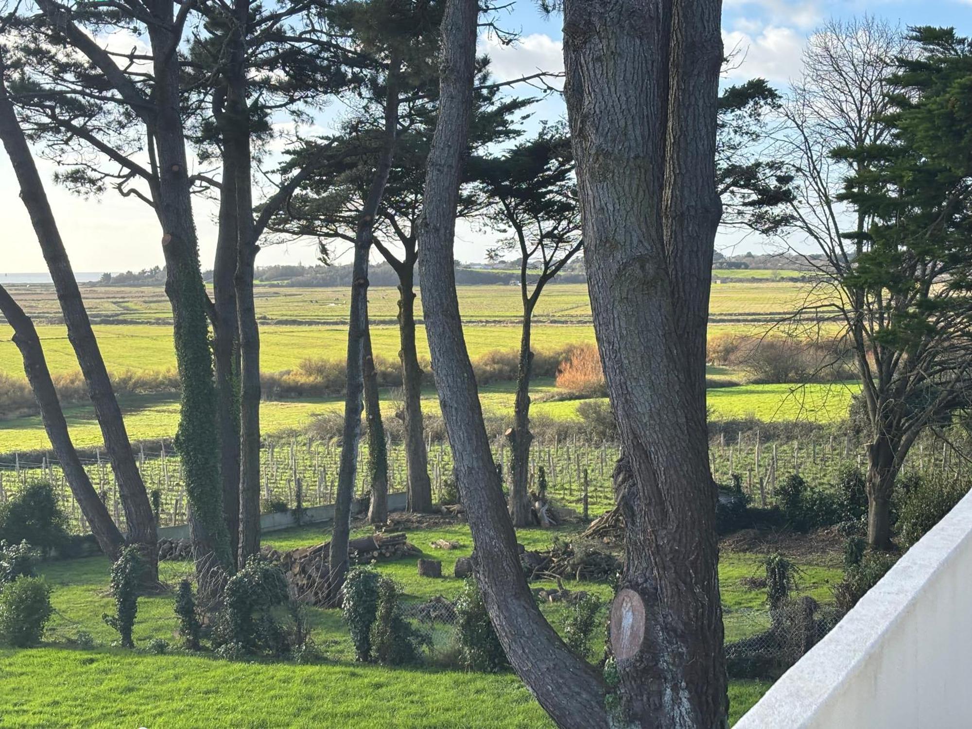 Villa Vieilles Vignes Vue Mer ビリエ エクステリア 写真